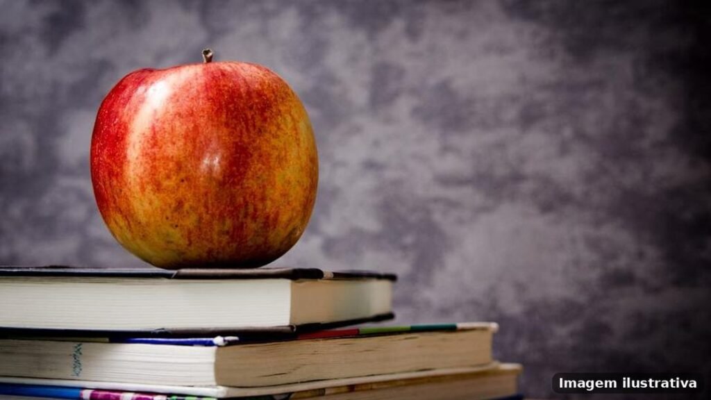 Imagem ilustrativa – educacao
