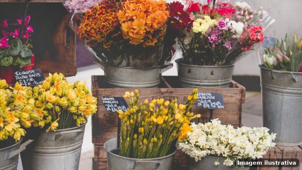 Imagem ilustrativa – floriculturas