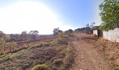 associacao-ecoar-florestal