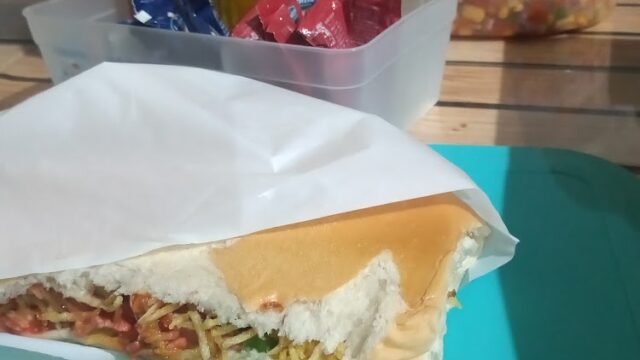 davi-dog