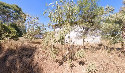 distribuidora-de-legumes-clayton-oliveira