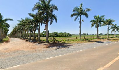 fazenda-sao-paulo