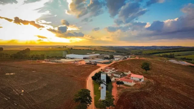 leite mammamia—fazenda querencia do guacu