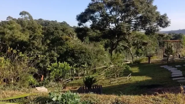 nossa chacalas