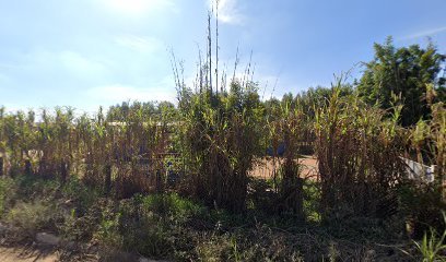 paletes-valdinei-florestal