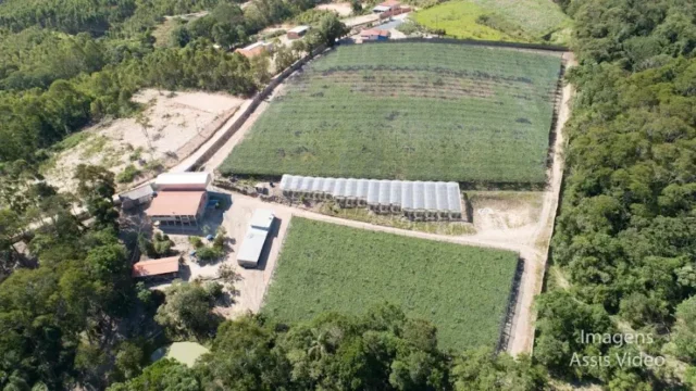 sitio santo expedito uvas