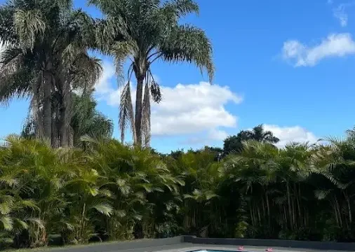 sitio sonia maria
