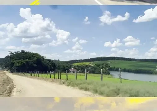 toca dos coelhos